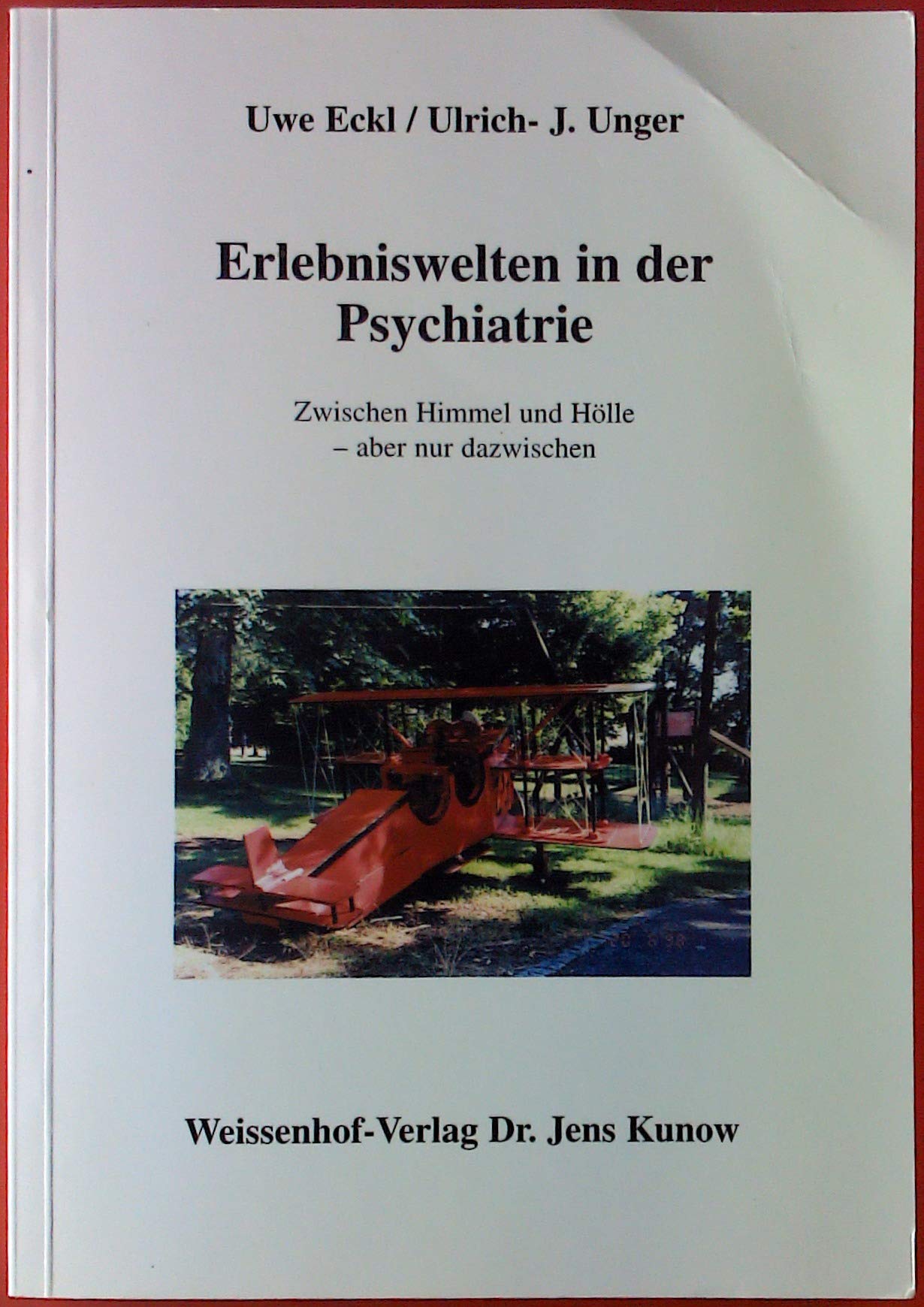 Erlebniswelten in der Psychiatrie: Zwischen Himmel und Hölle - aber nur dazwischen Psychology