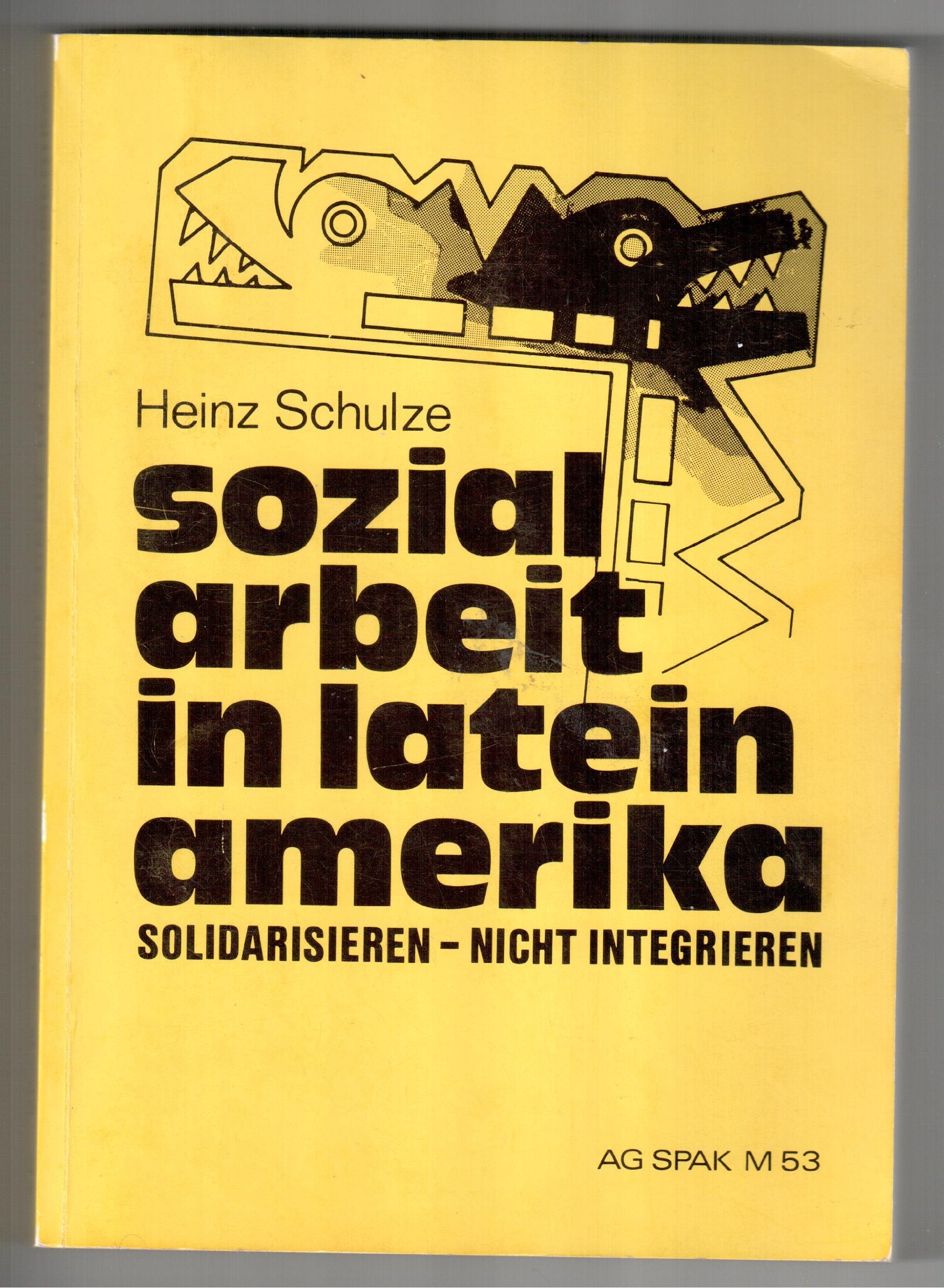 Sozialarbeit in Lateinamerika. Solidarisieren - nicht integrieren Social Sciences