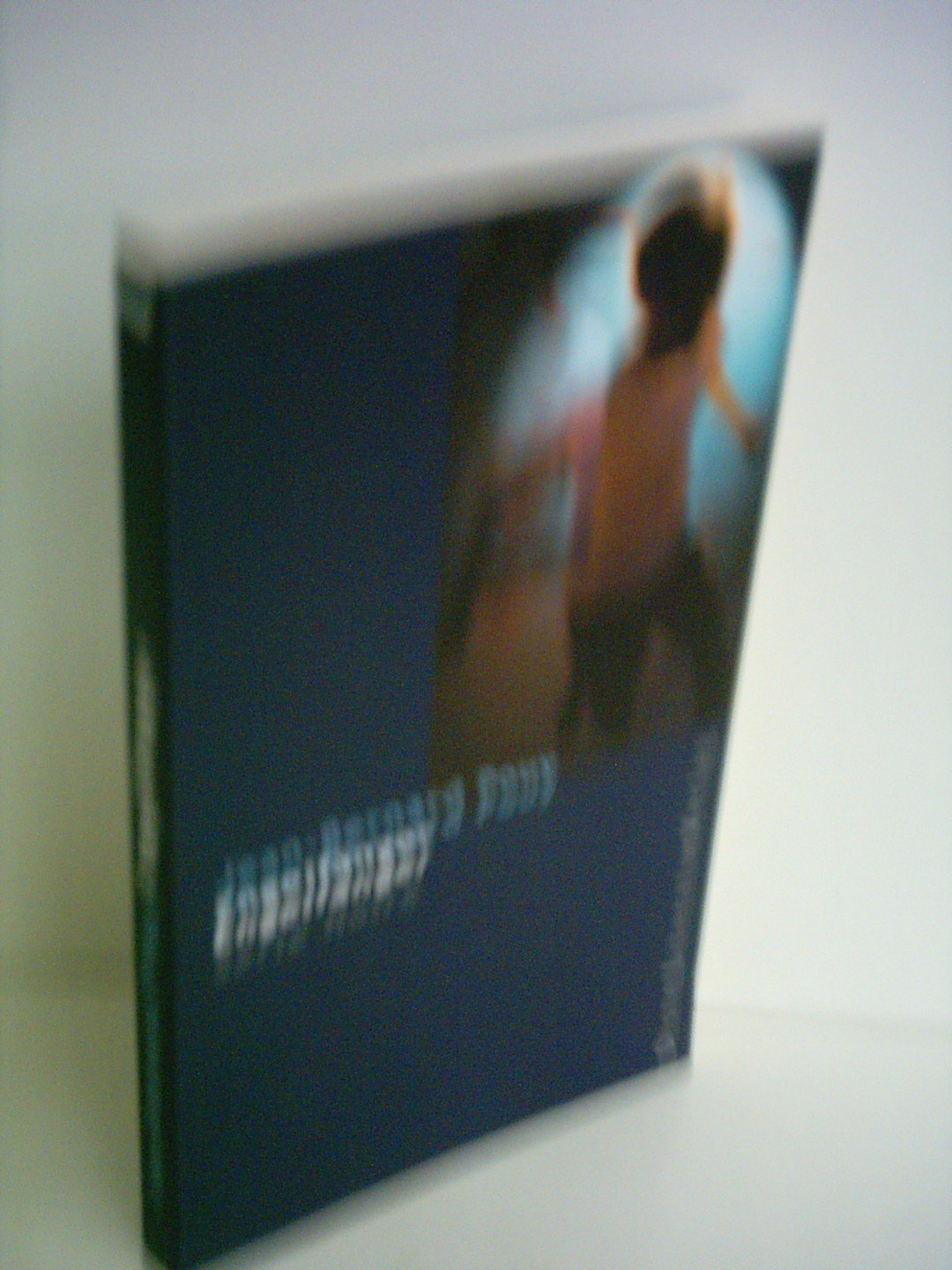 Engelfänger Contemporary literature Books
