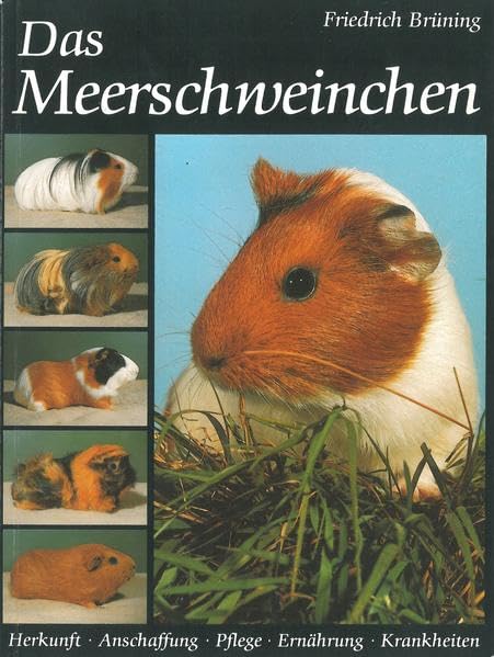 Das Meerschweinchen: Herkunft, Anschaffung, Pflege,Ernährung, Krankheiten Pets