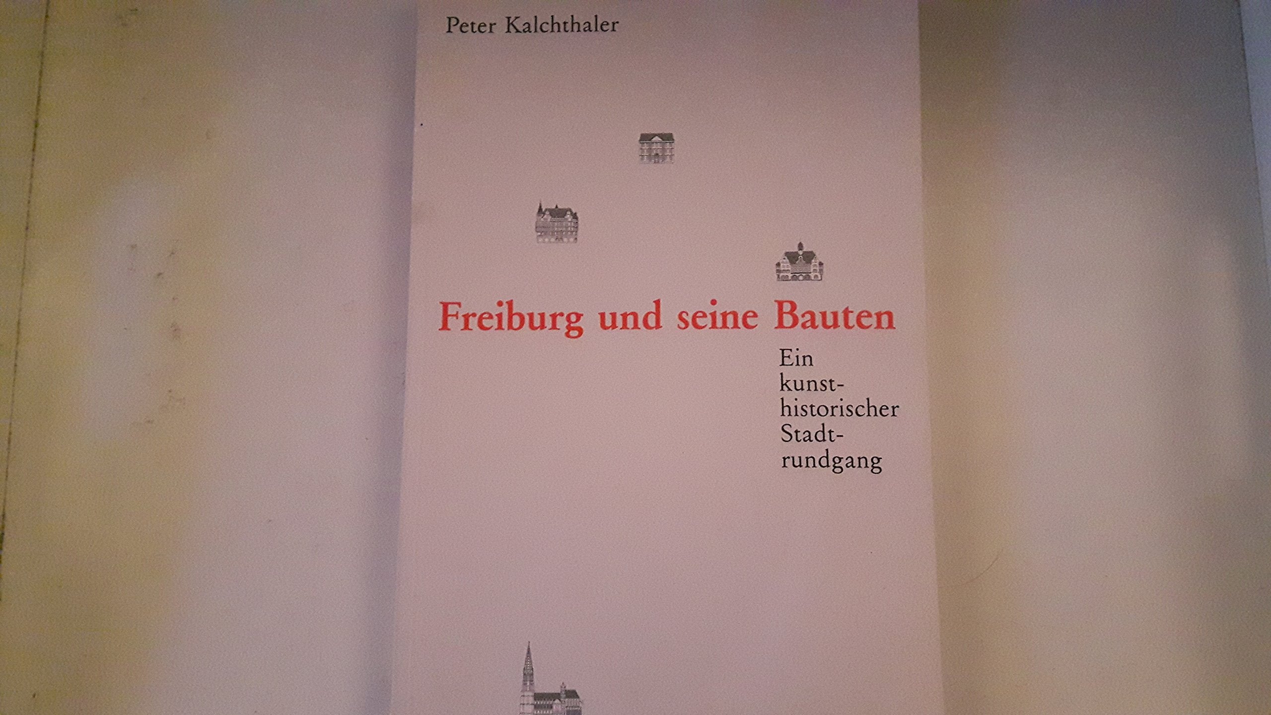 Freiburg und seine Bauten: Ein kunsthistorischer Stadtrundgang Architecture