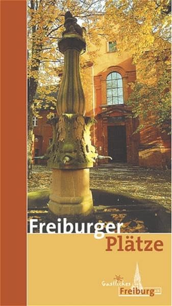 Freiburger Plätze (Schriftenreihe zur Stadt Freiburg im Breisgau) Social Sciences