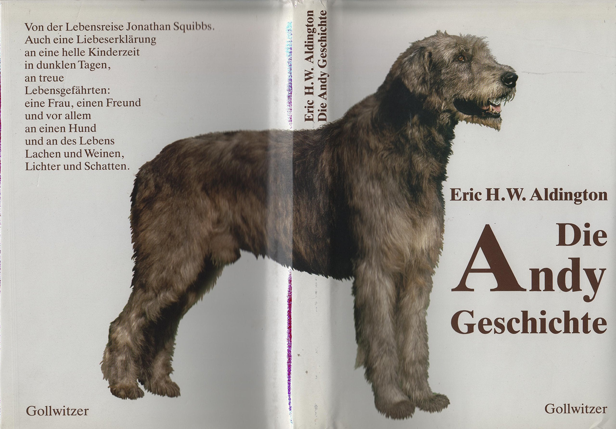 Die Andy Geschichte Contemporary literature Books