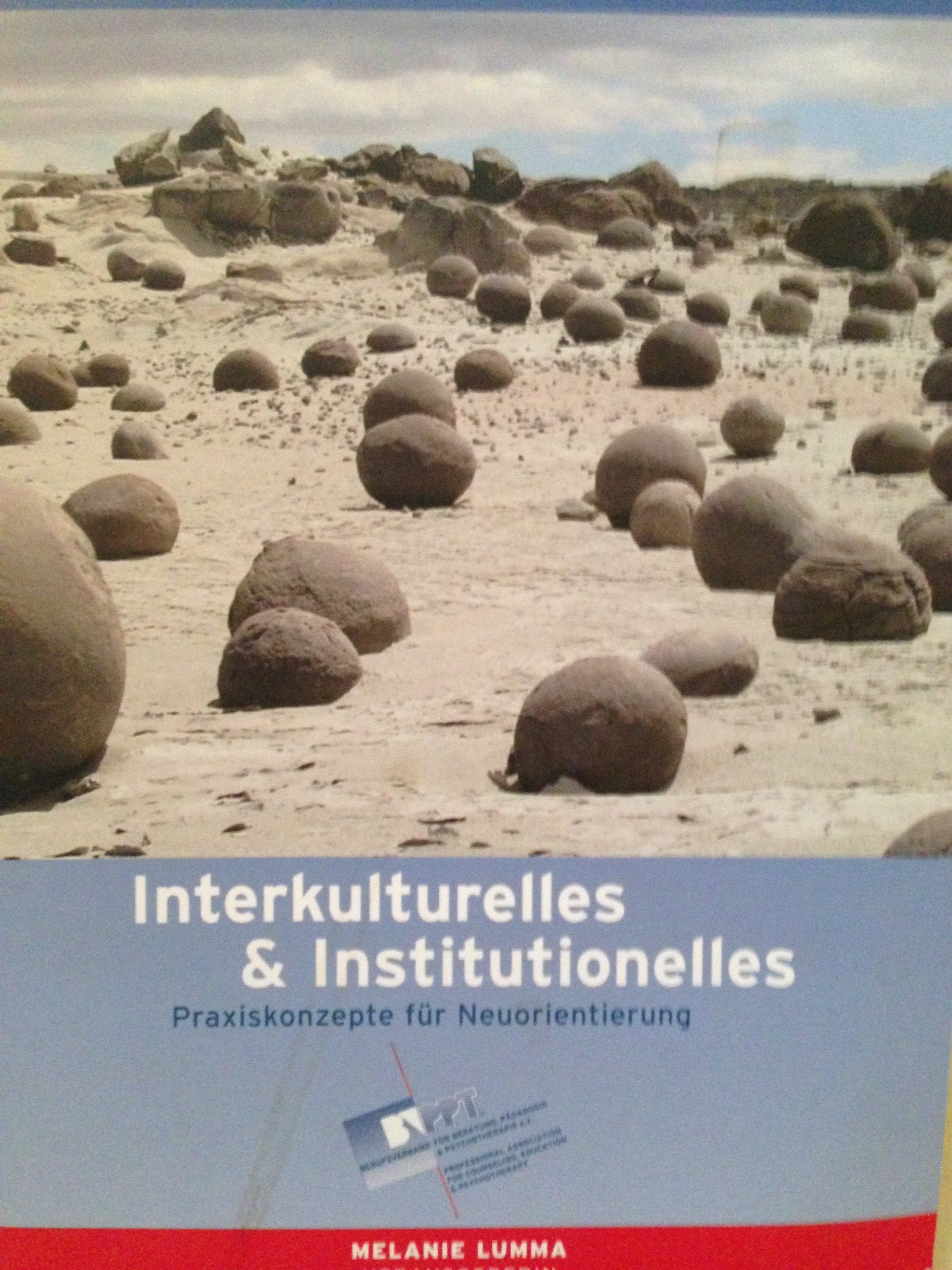 Interkulturelles und Institutionelles: Praxiskonzepte für Neuorientierung Books
