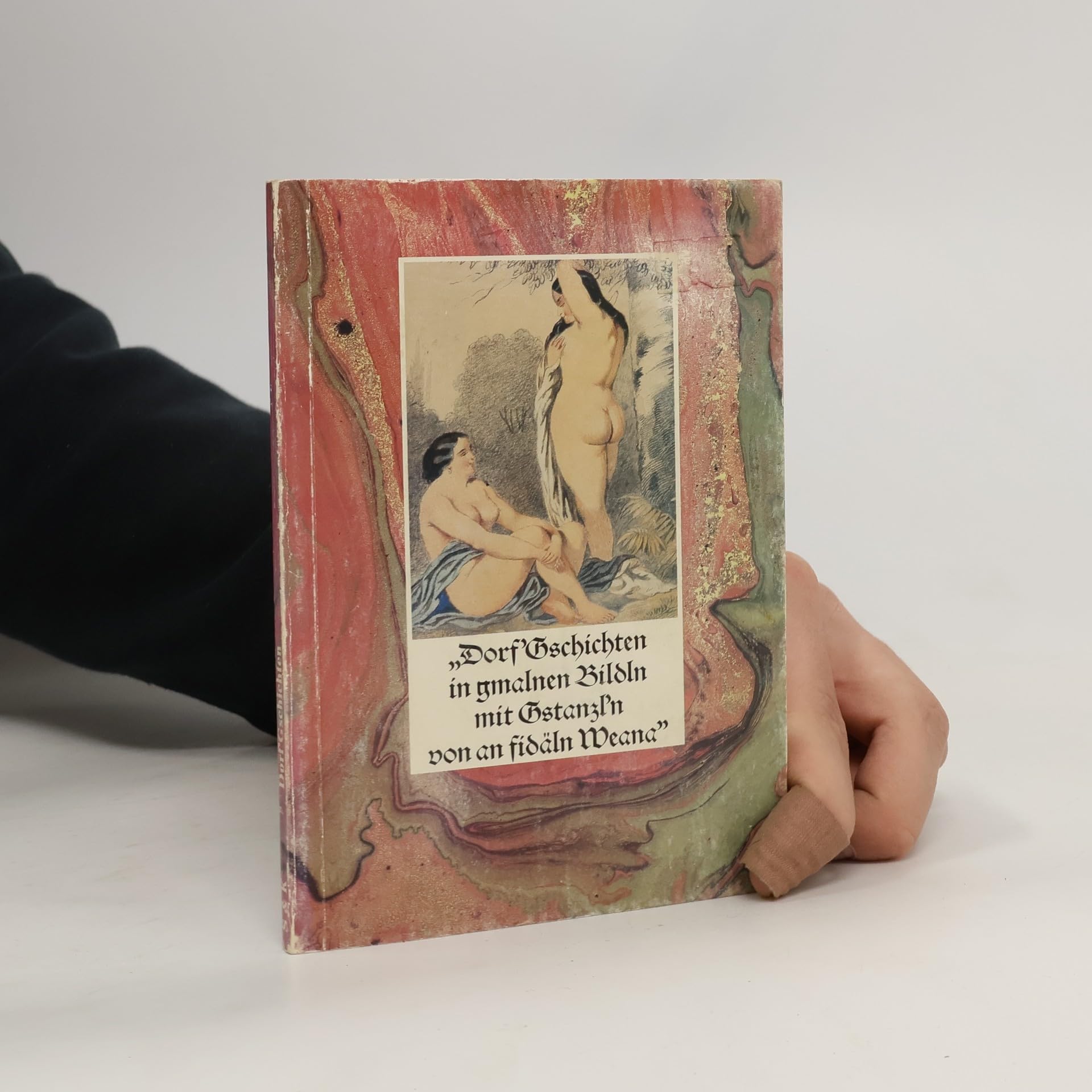Dorf-Gschichten in gemalnen Bildln mit Gstanzl`n. book