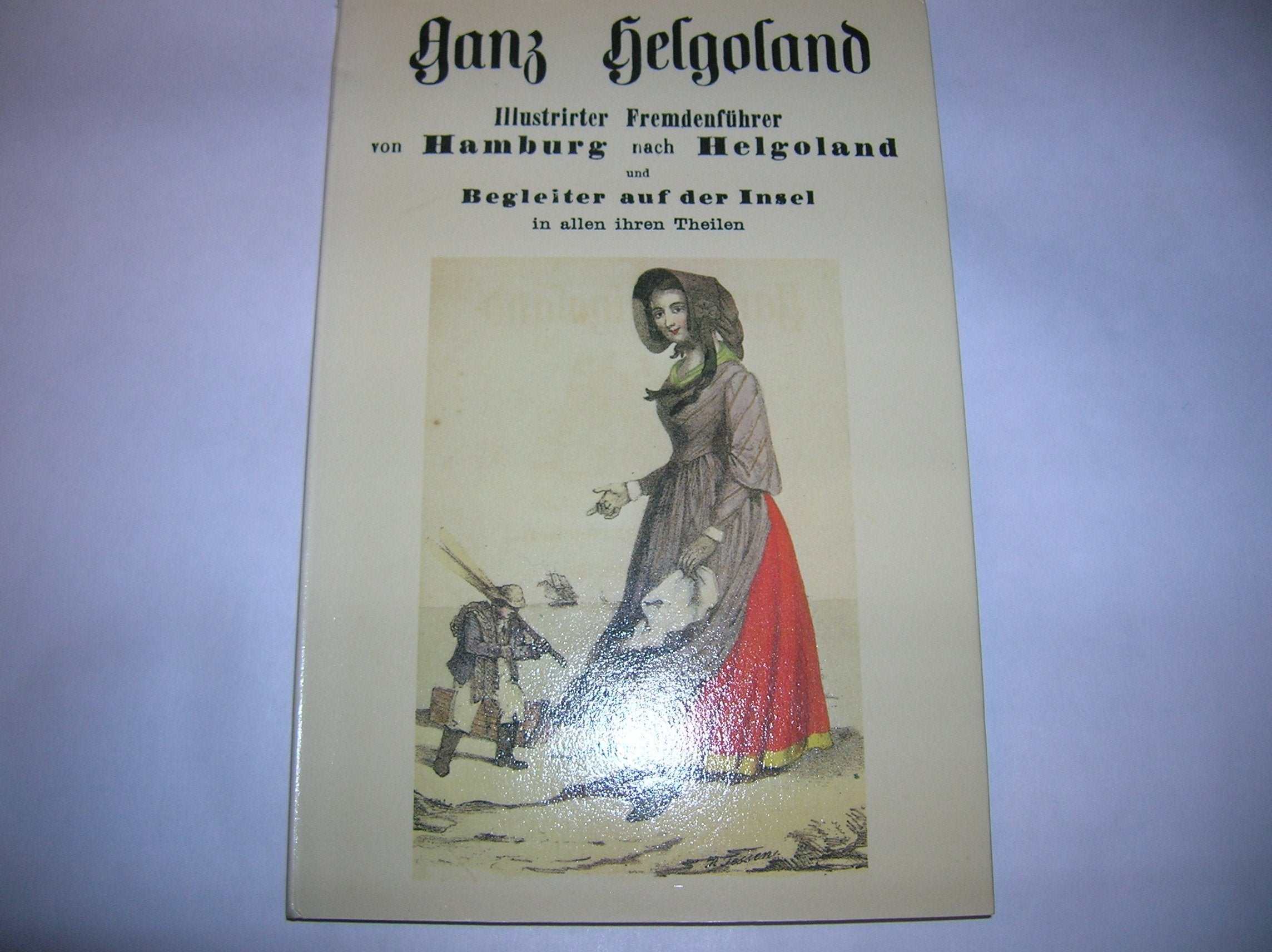 Ganz Helgoland für 10 Silbergroschen. Illustrierter Fremdenführer von Hamburg nach Helgoland und Begleiter auf der Insel in allen ihren Teilen Travel Books