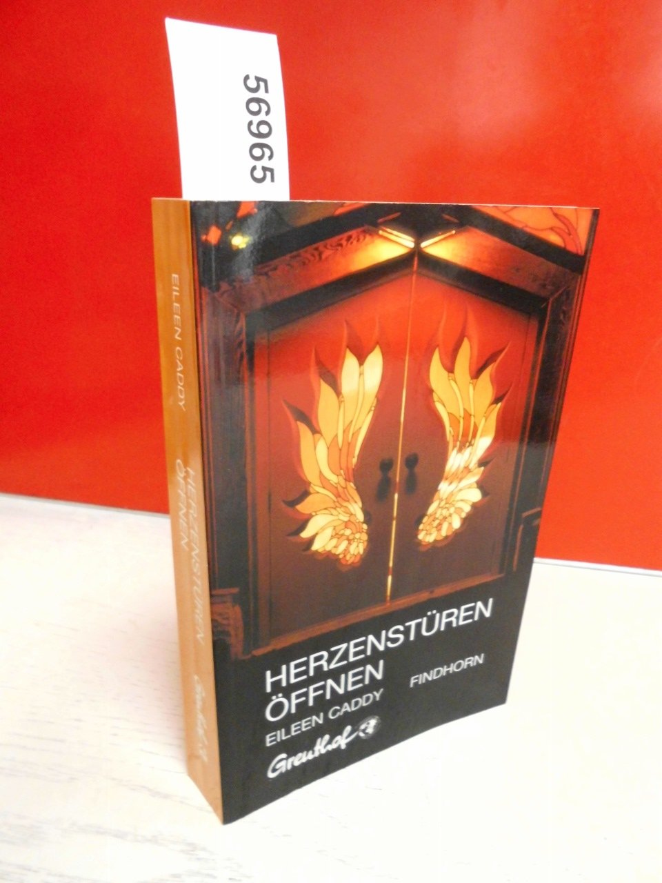 Herzenstüren öffnen Fiction Books
