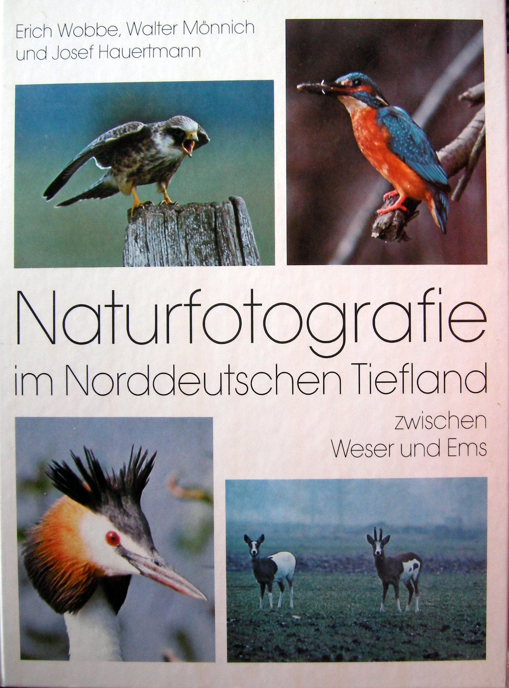 Naturfotografie im Norddeutschen Tiefland. Zwischen Weser und Ems Books