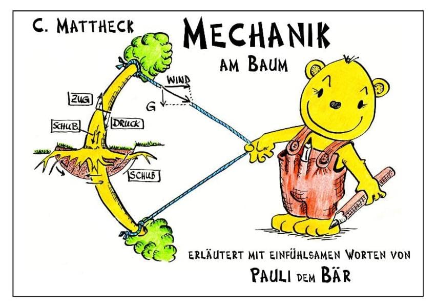 Mechanik am Baum: Erläutert mit einfühlsamen Worten von Pauli dem Bär Natural Sciences