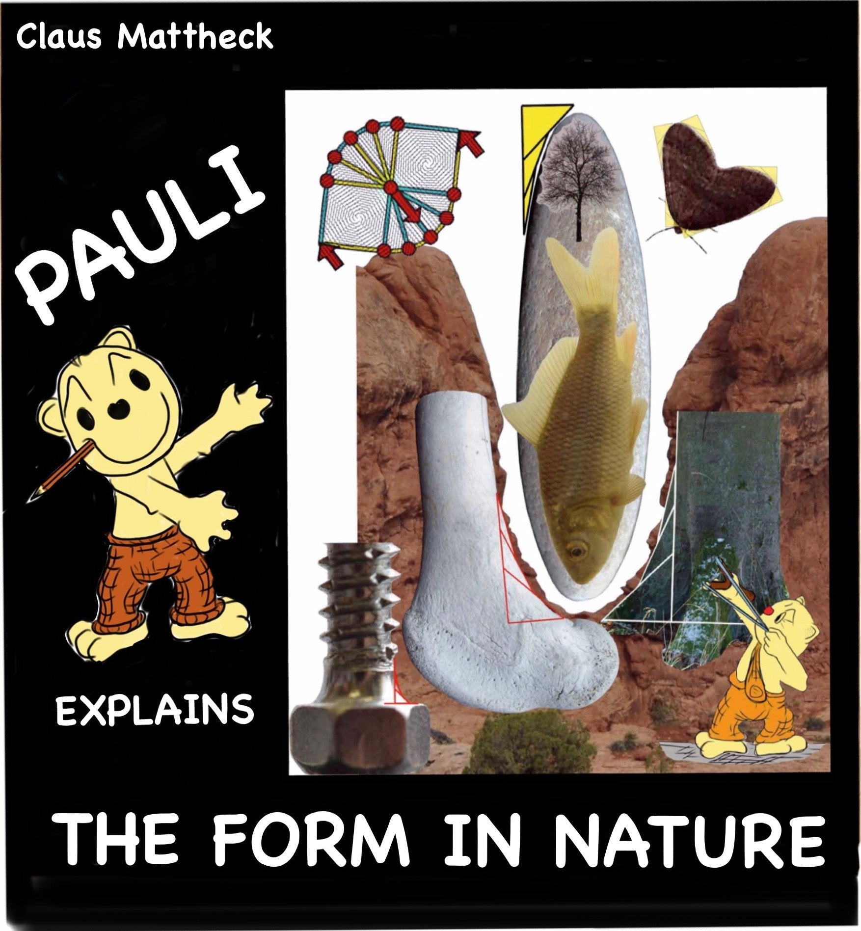 Pauli explains the form in nature Business & Technology
