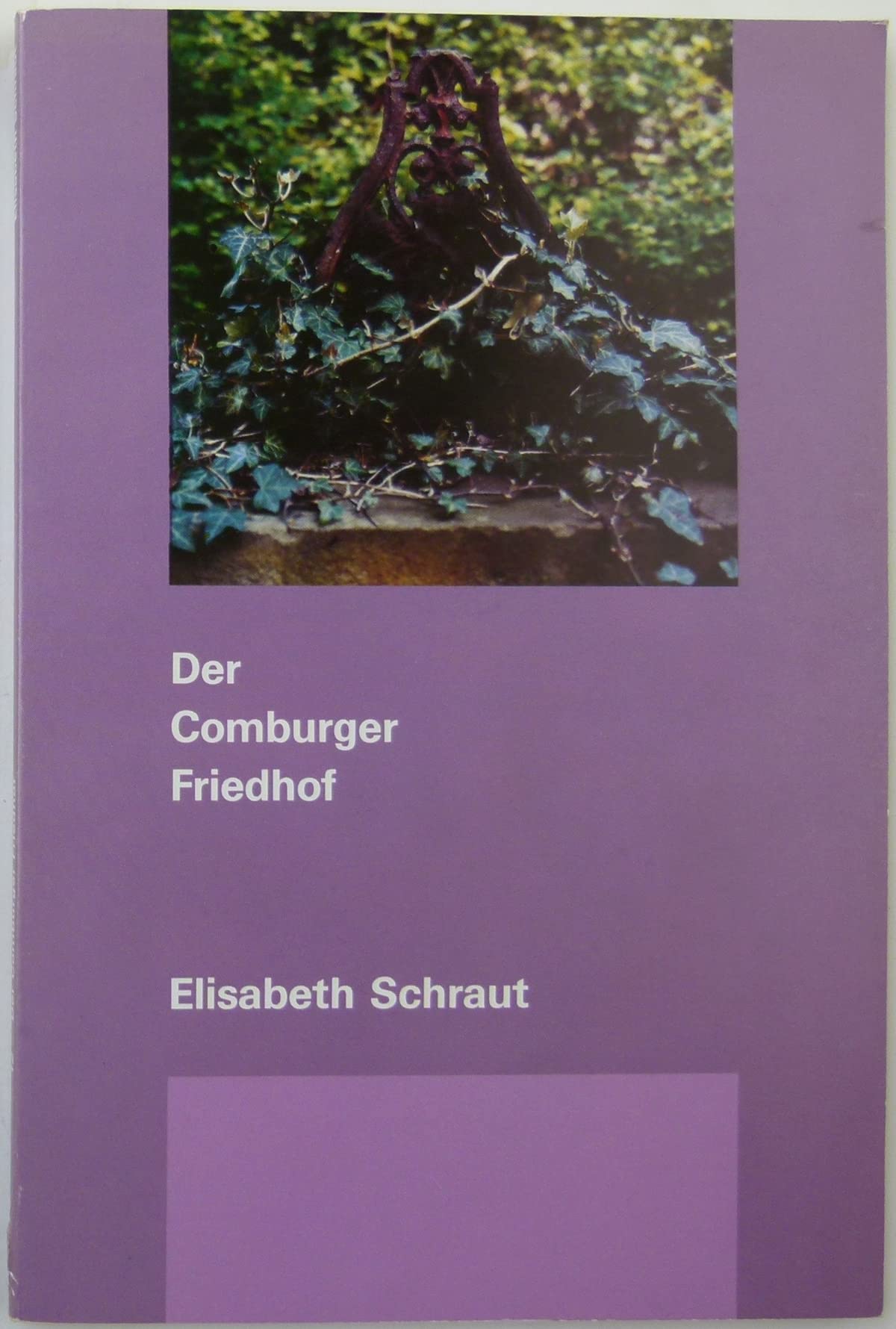 Der Friedhof des königlich-württembergischen Ehreninvalidencorps am Fuss der Comburg (Schriftenreihe des Vereins Alt-Hall e.V.) Books
