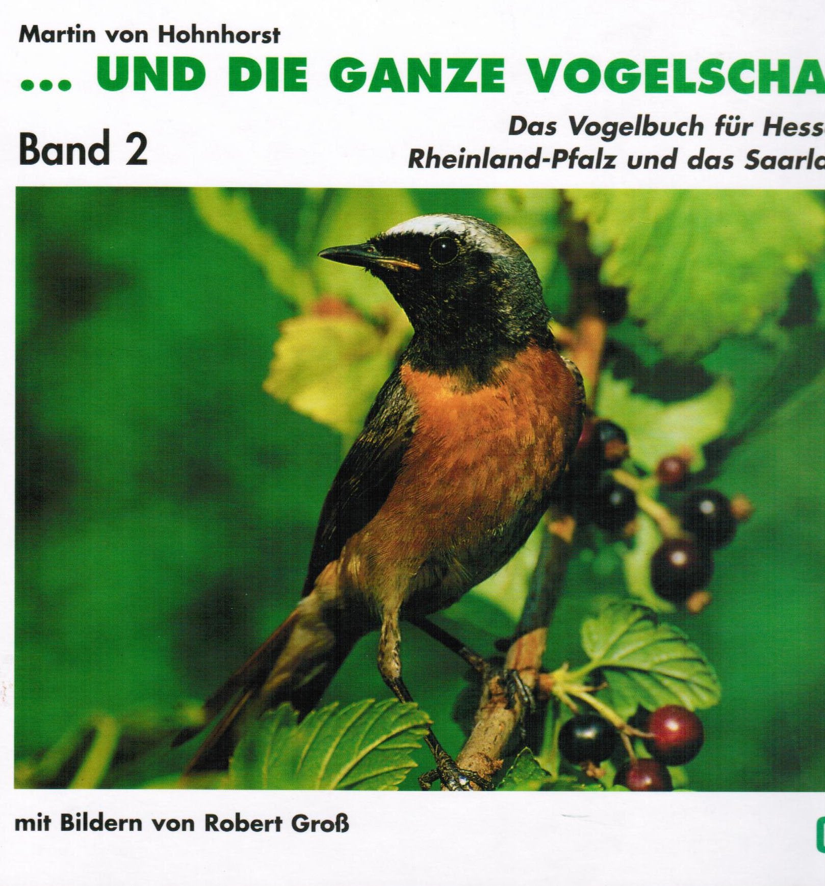 ... und die ganze Vogelschar: Das Vogelbuch für Hessen, Rheinland-Pfalz und das Saarland. Band 2 book