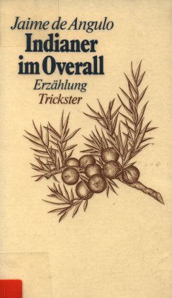Indianer im Overall. Erzählung Books