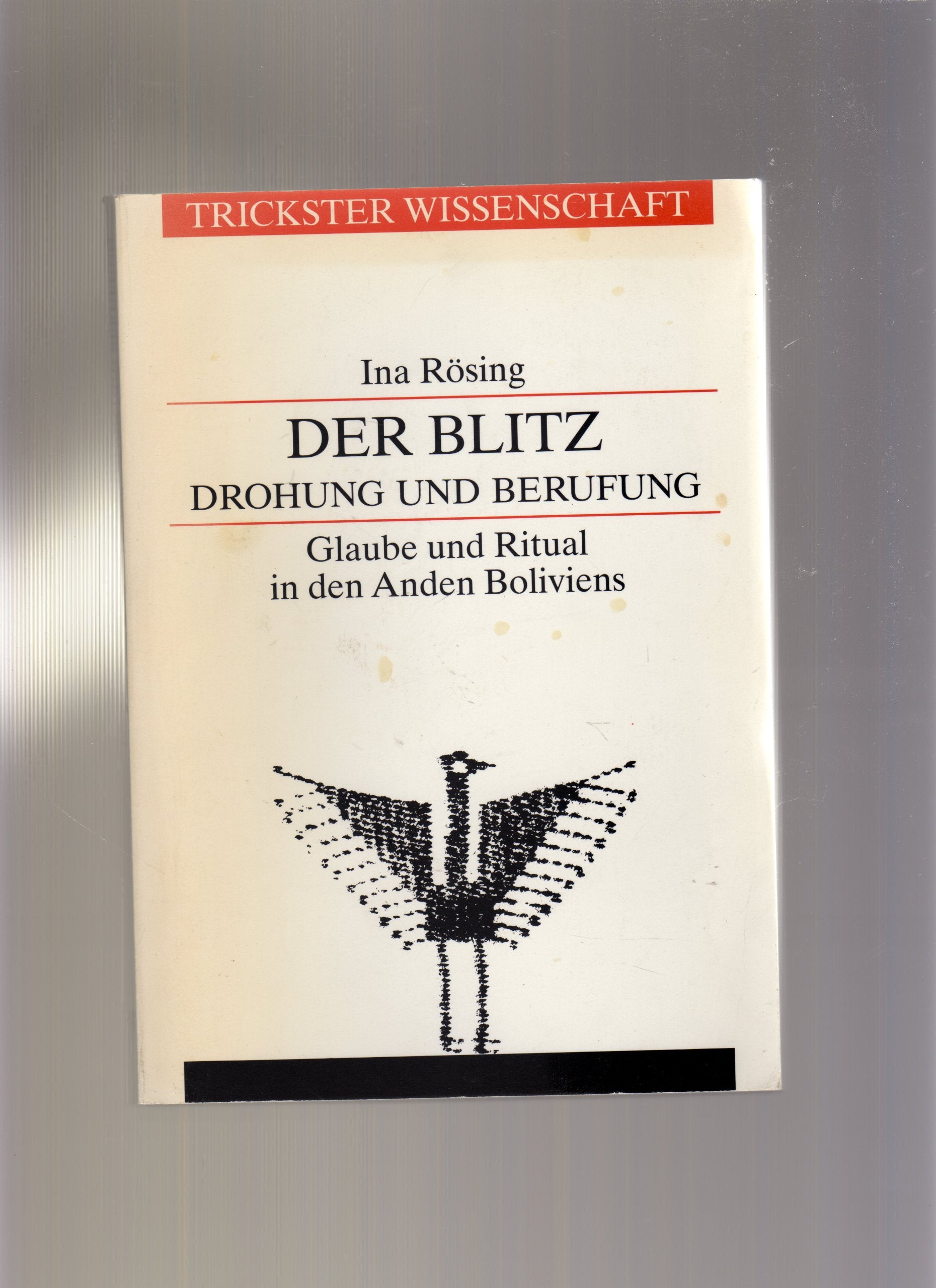 Der Blitz: Drohung und Berufung. Glaube und Ritual in den Anden Boliviens Books