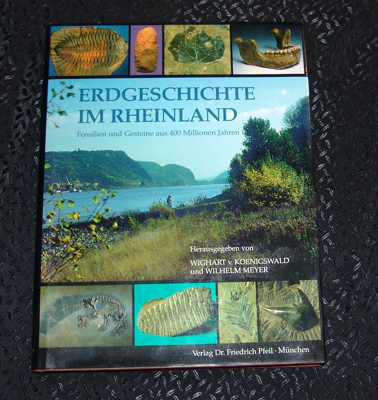 Erdgeschichte mitteleuropäischer Regionen, Band 1: Erdgeschichte im Rheinland - Fossilien und Gesteine aus 400 Millionen Jahren Business & Technology