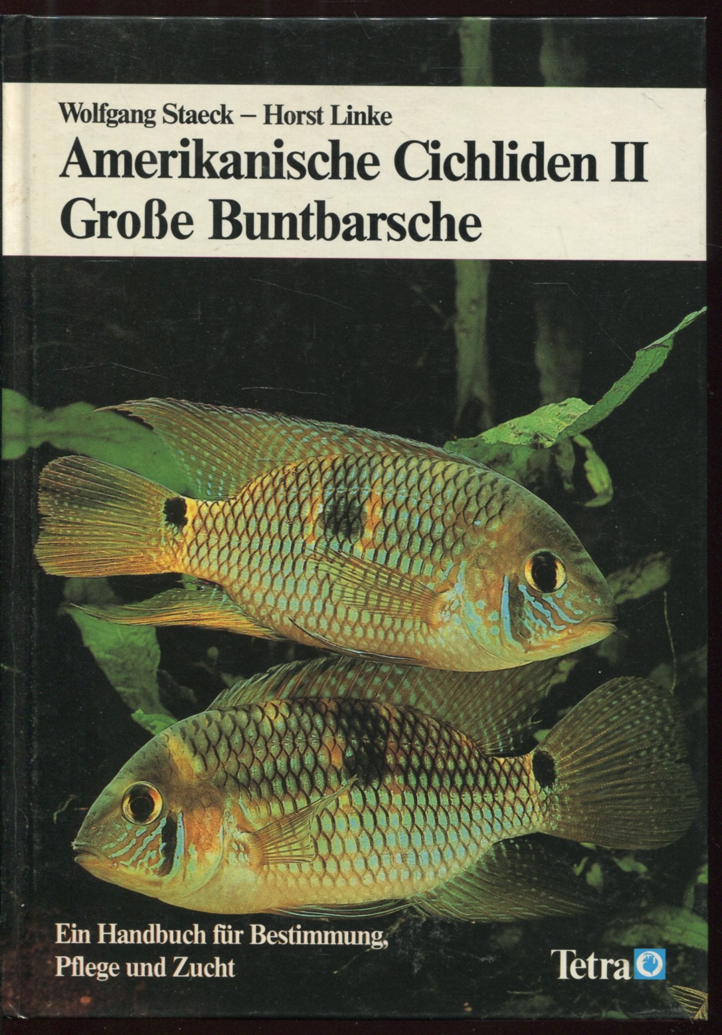 Amerikanische Cichliden II - Grosse Buntbarsche. Ein Handbuch für Bestimmung, Pflege und Zucht Natural Sciences