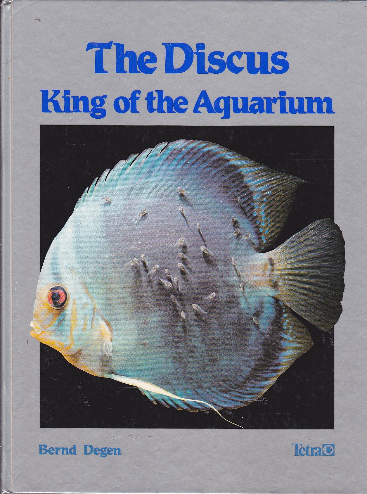 The Discus: King of the Aquarium Pets