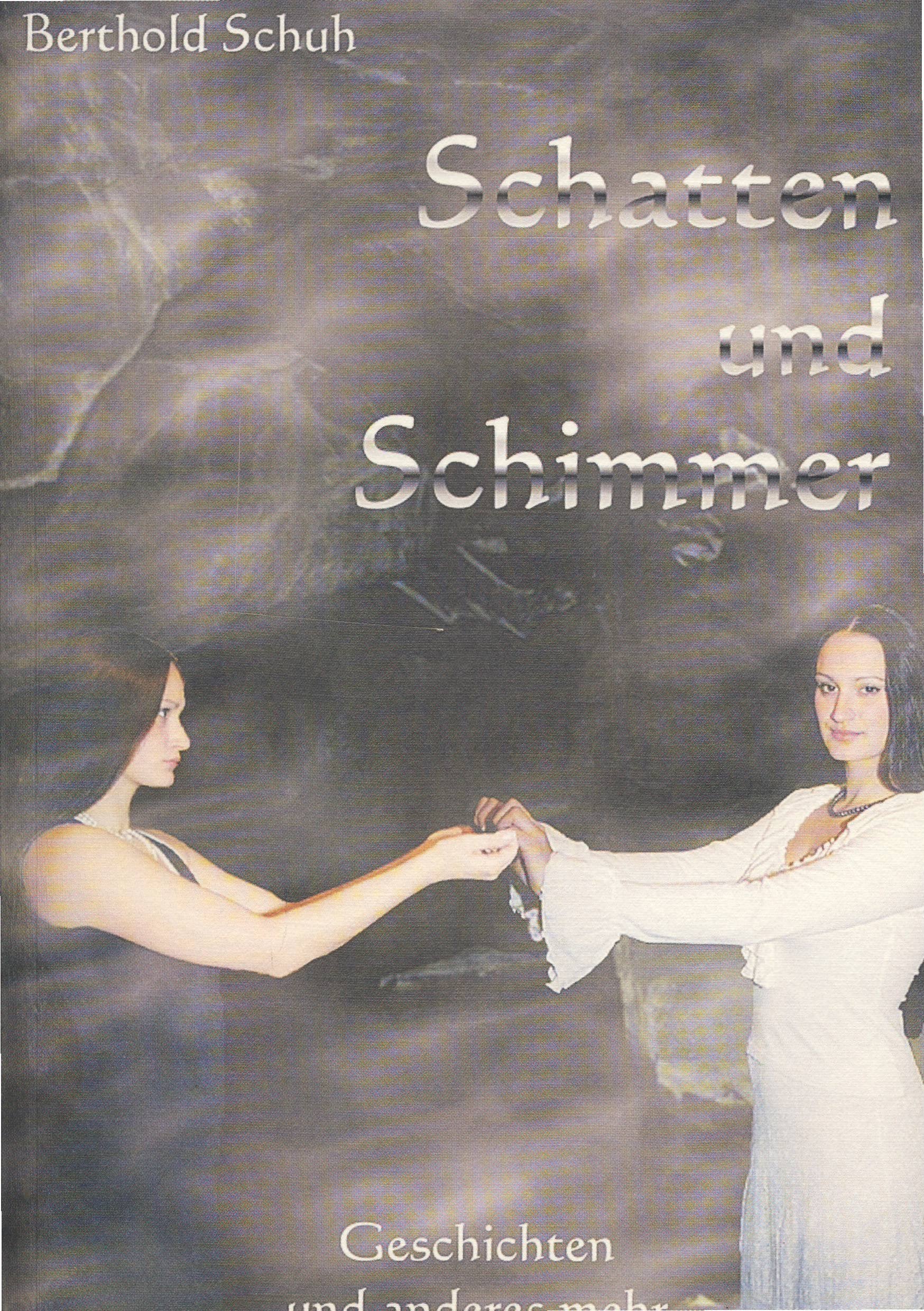 Schatten und Schimmer: Geschichten und anderes mehr (Schriftenreihe des Bundes der Niederländer) Fiction