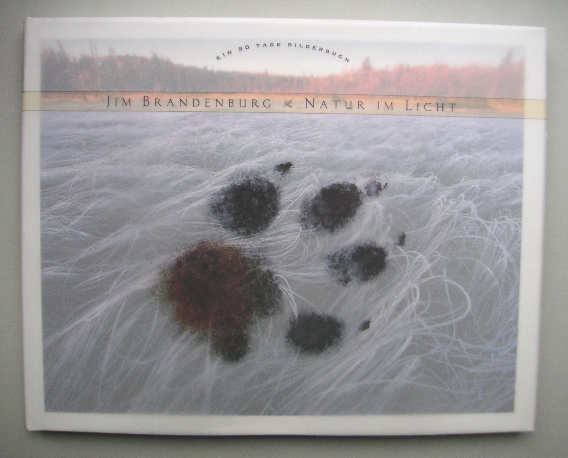 Natur im Licht: Ein 90 Tage Bilderbuch Photography