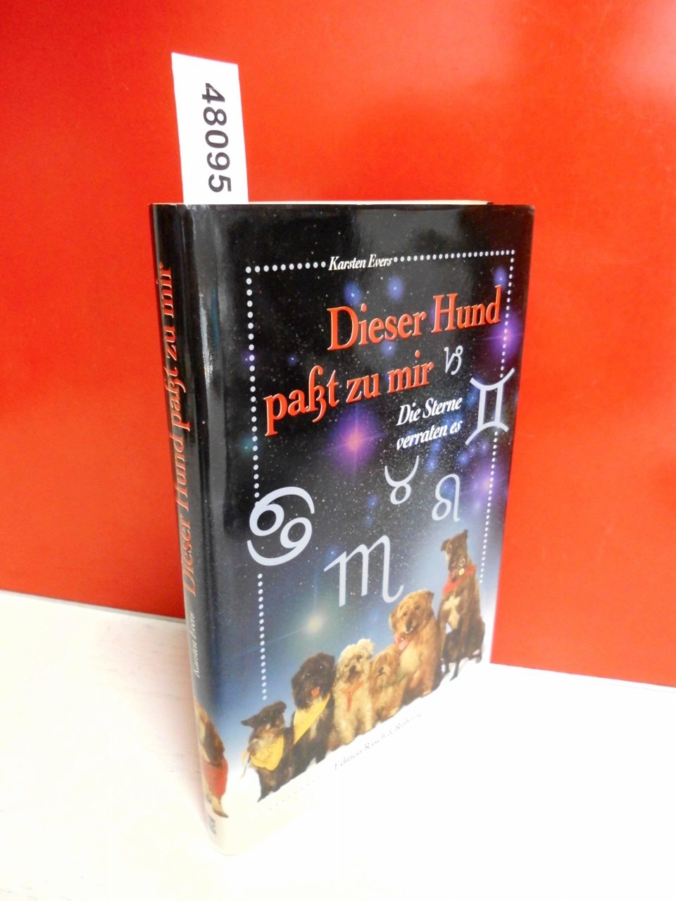 Dieser Hund passt zu mir: Die Sterne verraten es Religion & Esotericism