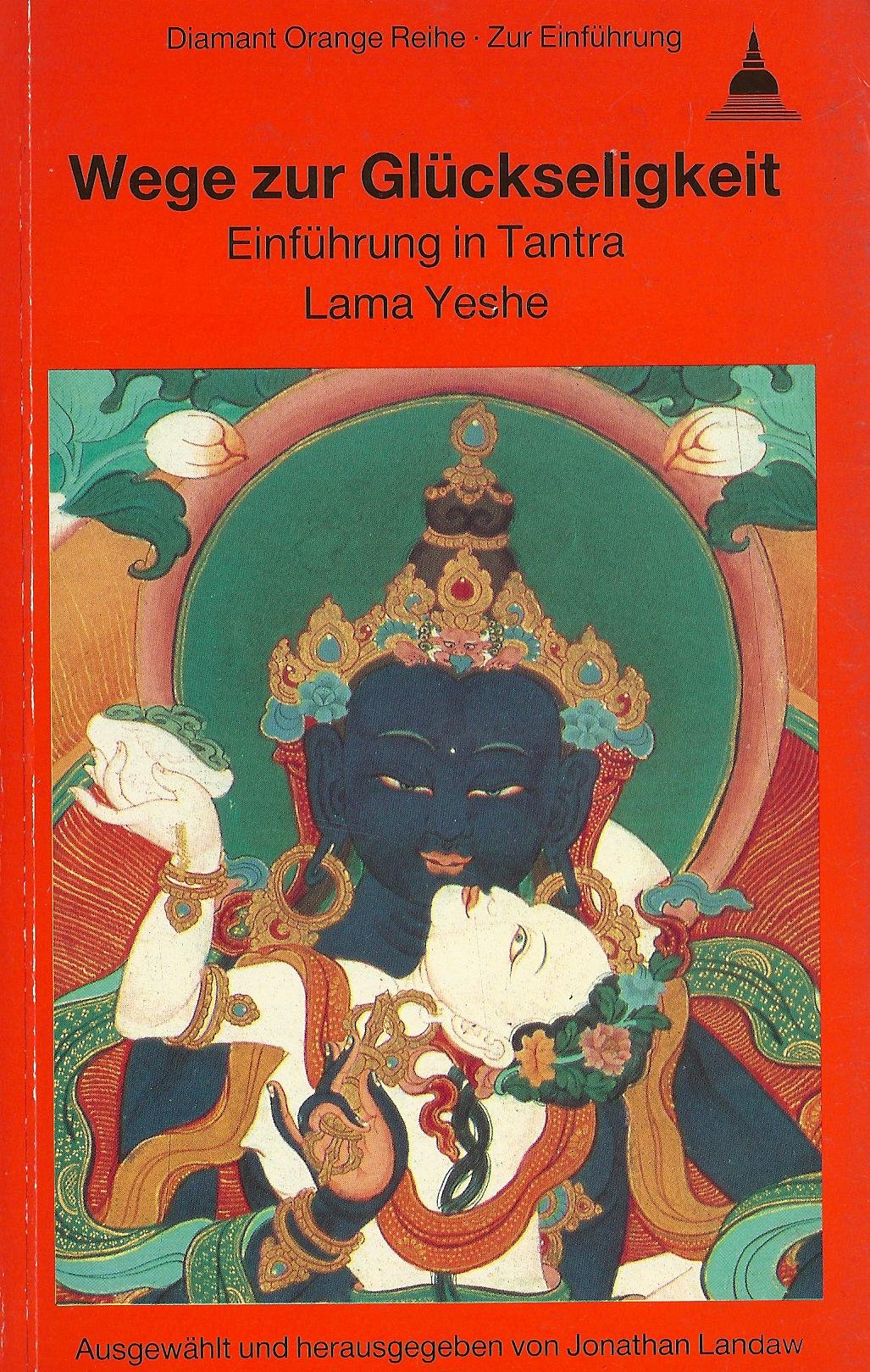 Wege zur Glückseligkeit. Einführung in Tantra Books