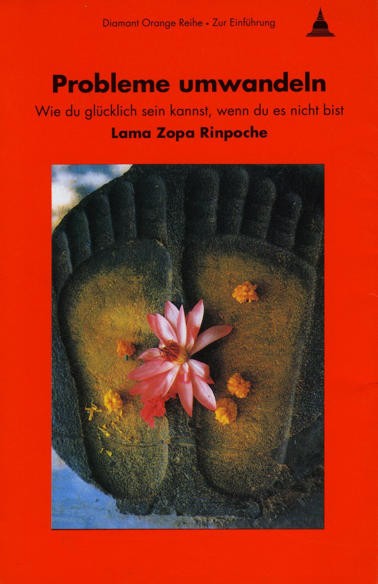 Probleme umwandeln. Wie du glücklich sein kannst, wenn du es nicht bist Books
