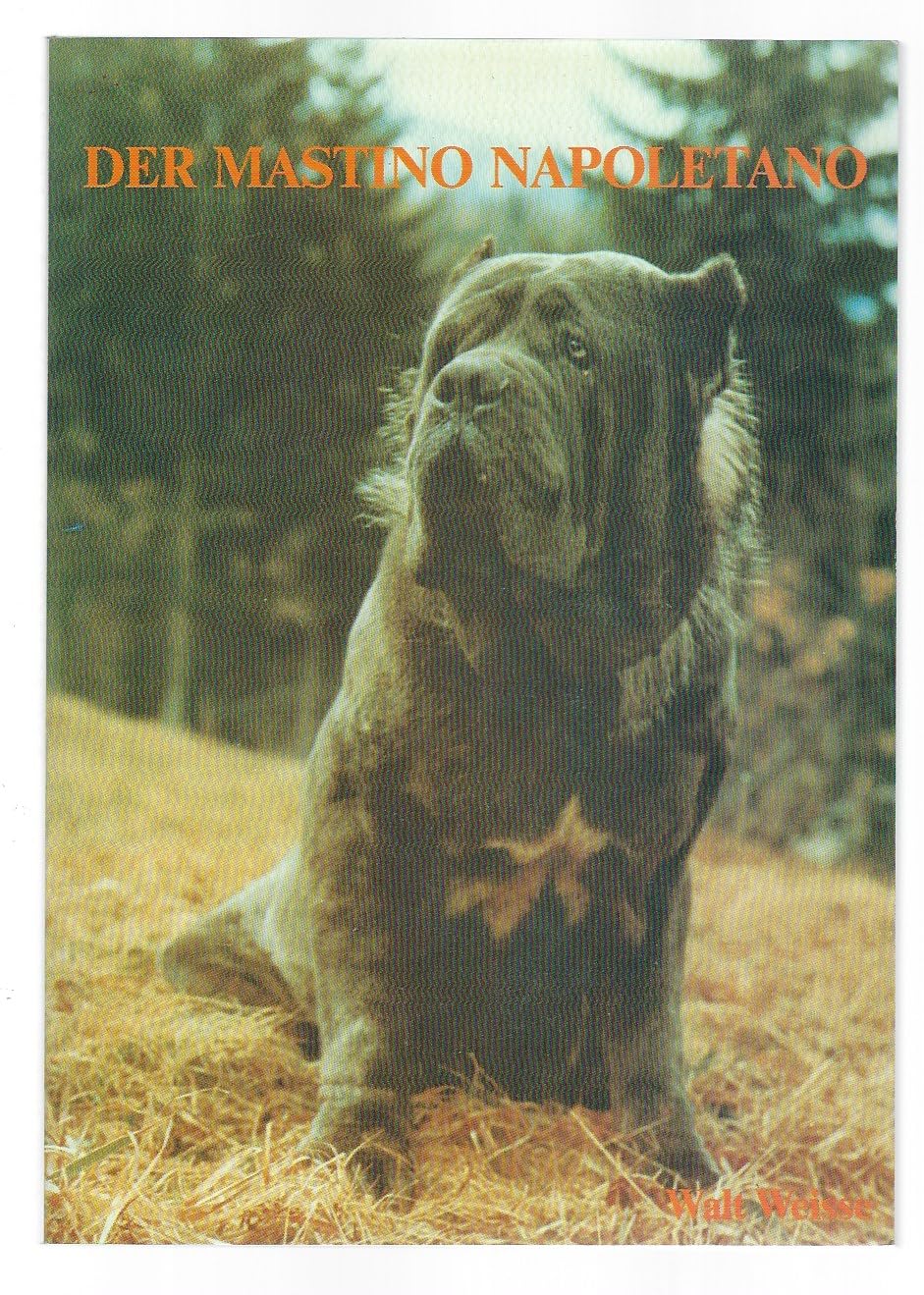 Der Mastino Napoletano / Geschichte, Beschreibung, Zucht und Aufzucht, Kauf, Haltung, Fuetterung, Erziehung Natural Sciences