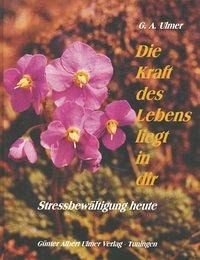 Die Kraft des Lebens liegt in dir: Stressbewältigung heute Leisure, Home & Garden