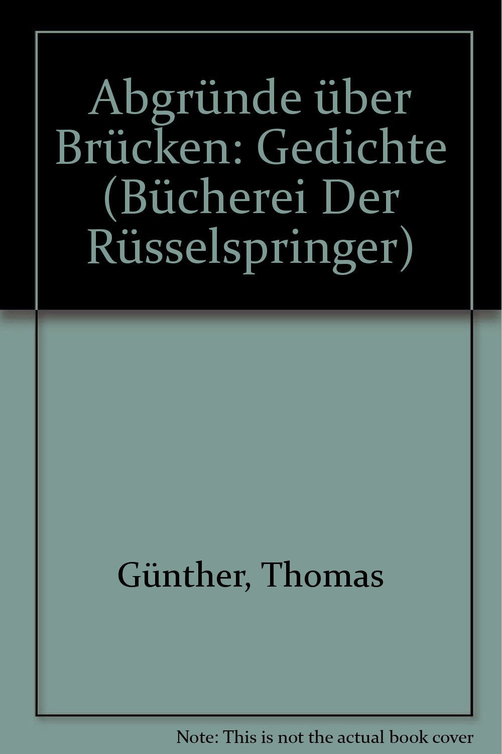 Abgründe über Brücken: Gedichte (Bücherei "Der Rüsselspringer") Books
