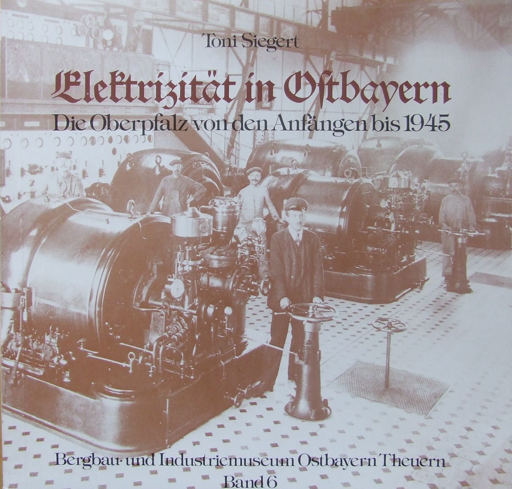 Elektrizität in Ostbayern. Die Oberpfalz von den Anfängen bis 1945 Books