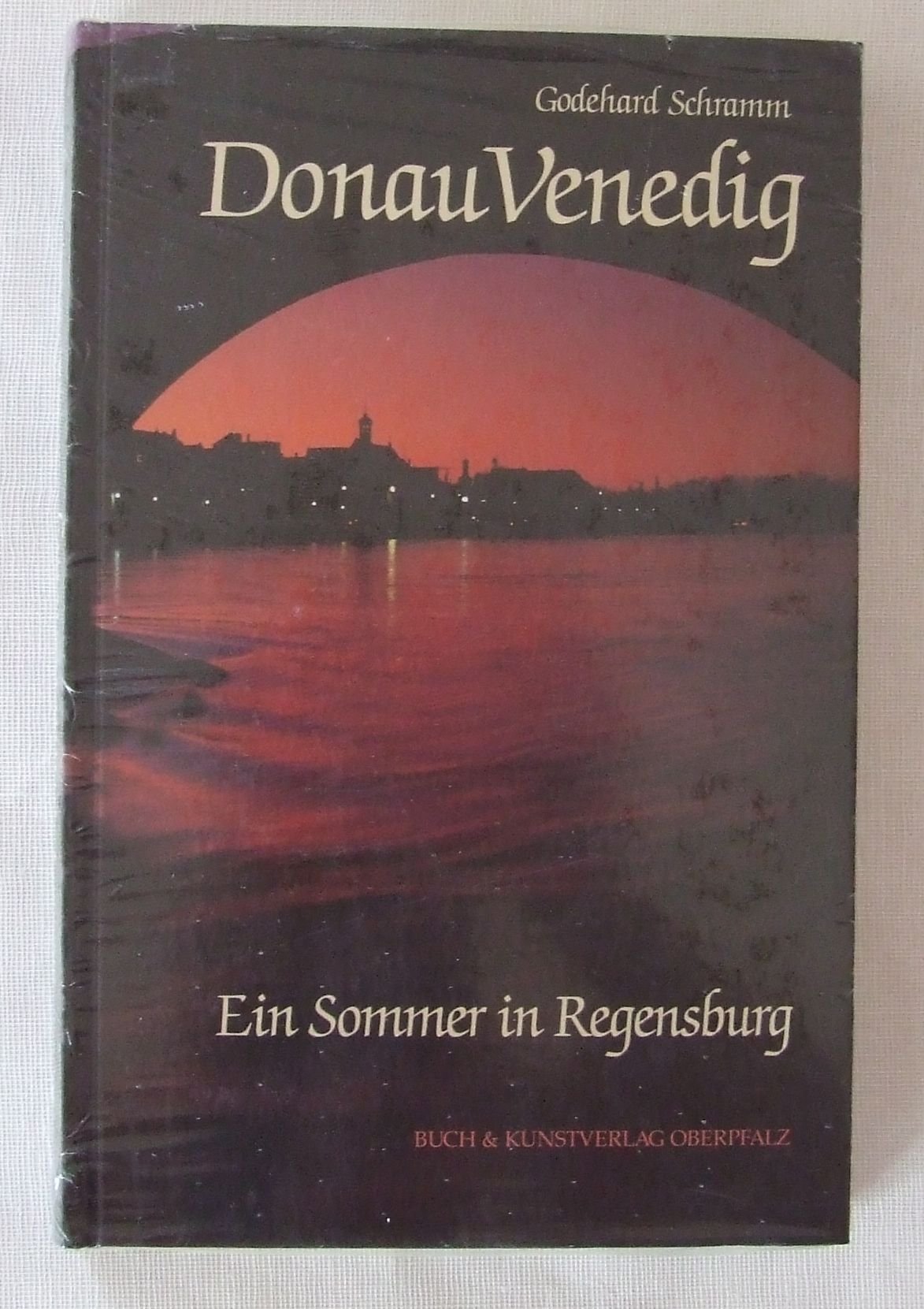 DonauVenedig. Ein Sommer in Regensburg Memories
