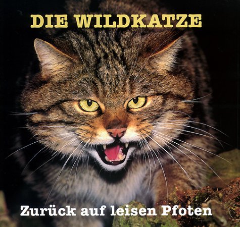 Die Wildkatze: Zurück auf leisen Pfoten Pets
