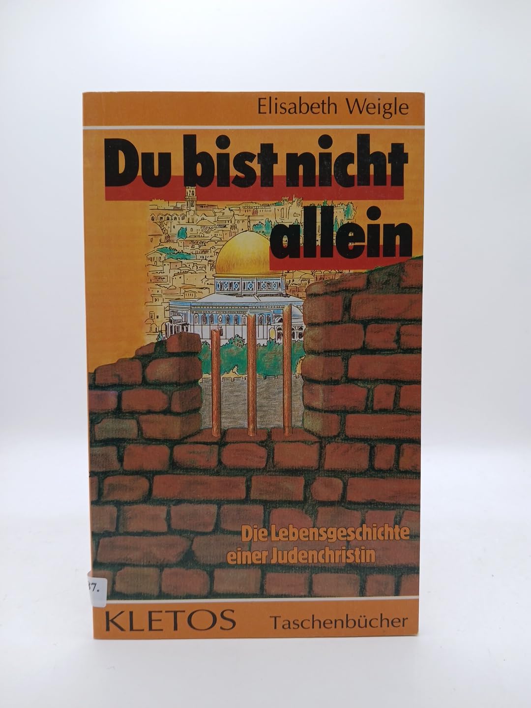 Du bist nicht allein!: Die Lebensgeschichte einer Judenchristin (Kletos-Taschenbücher) Memories