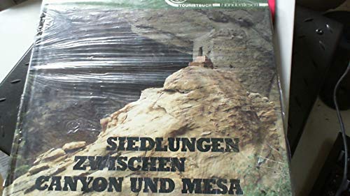 Siedlungen zwischen Canyon und Mesa - Victor Masayesva book