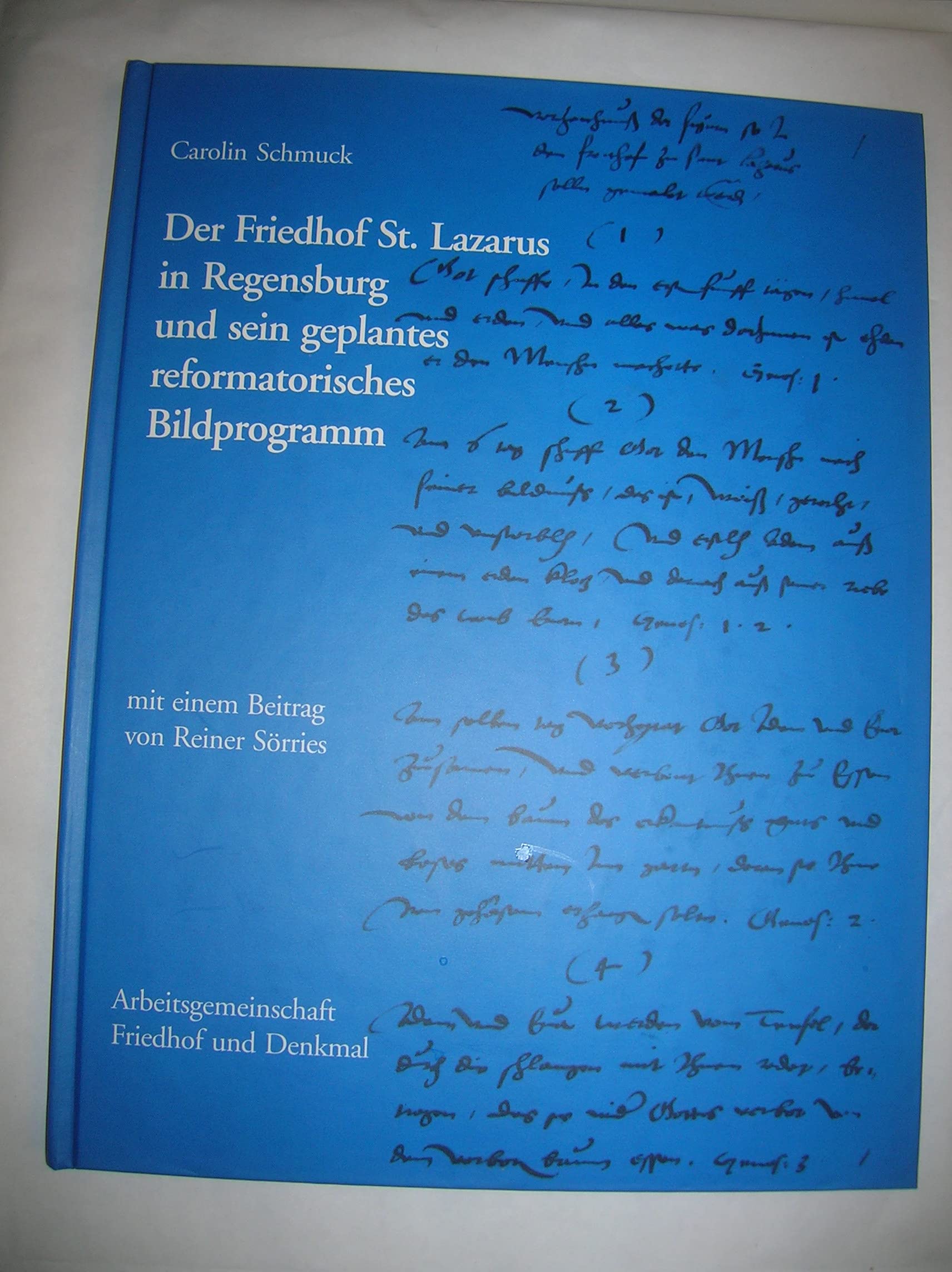 Der Friedhof St. Lazarus in Regensburg und sein geplantes reformatorisches Bildprogramm (Kasseler Studien zur Sepulkralkultur) Politics & Society