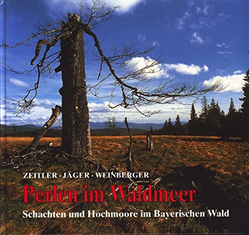 Perlen im Waldmeer. Schachten und Hochmoore im Bayerischen Wald Geology & Geography