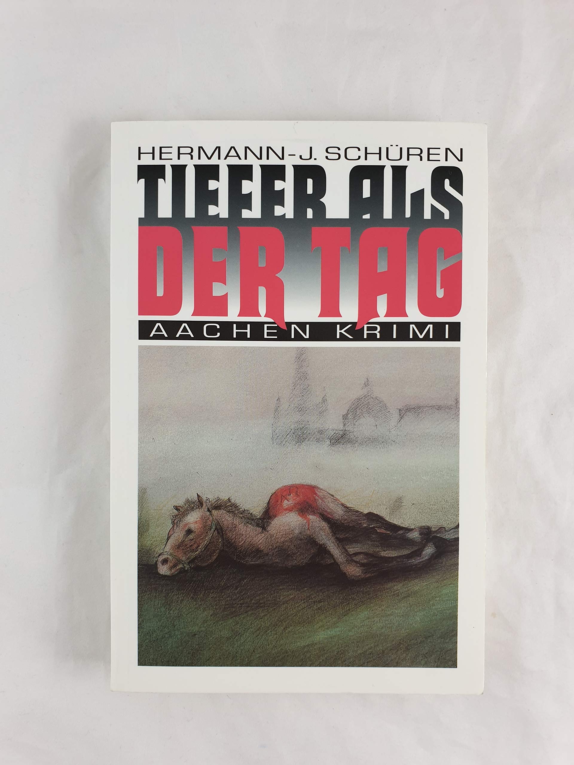 Tiefer als der Tag (Aachen Krimi) Contemporary literature