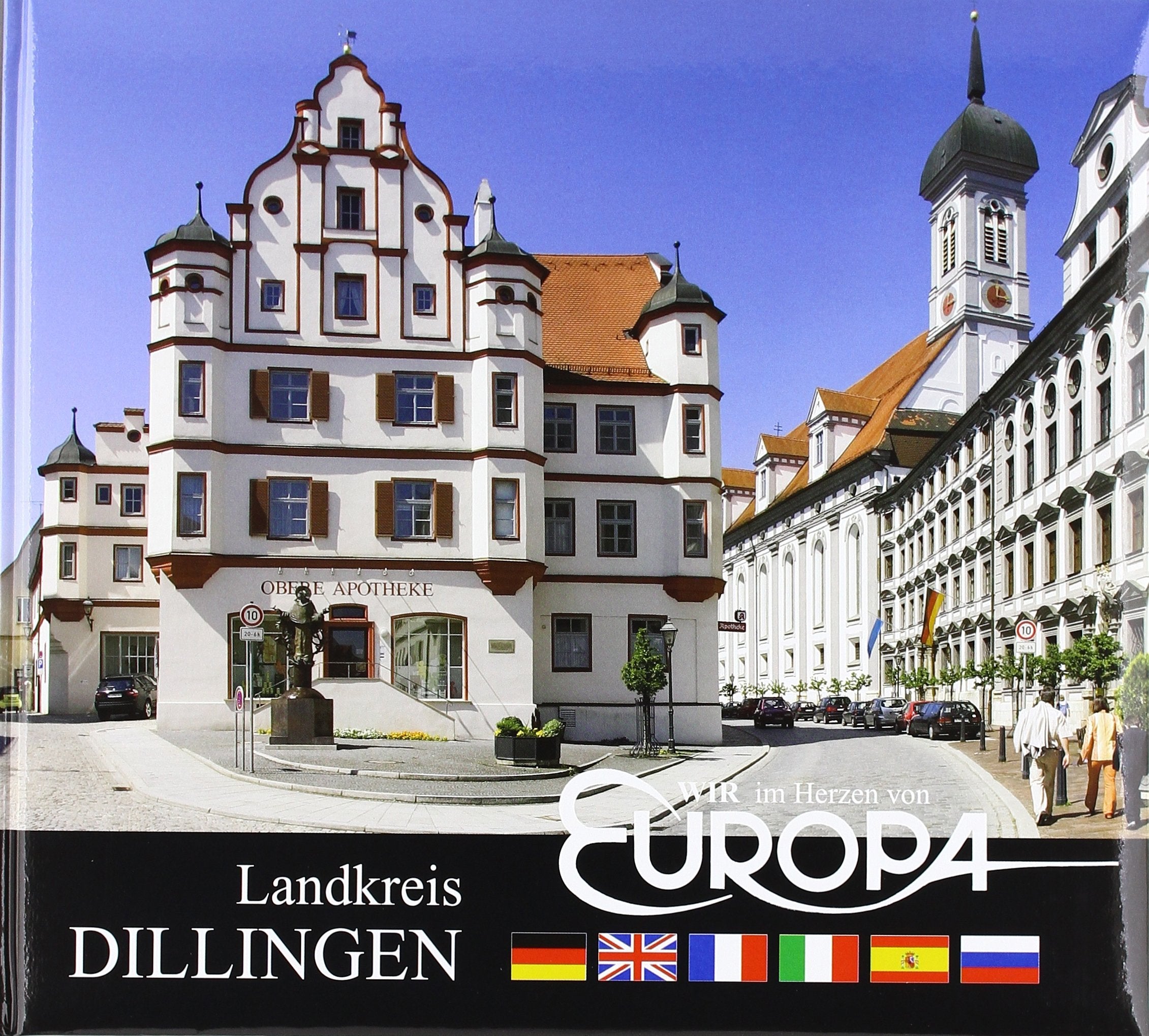 Wir im Herzen von Europa: Landkreis Dillingen Books
