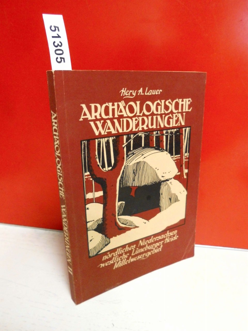 Archäologische Wanderungen - Nördliches Niedersachsen, Westliche Lüneburger Heide, Mittelwesergebiet: Ein Führer zu Sehenswürdigkeiten der Ur- und Frühgeschichte Books