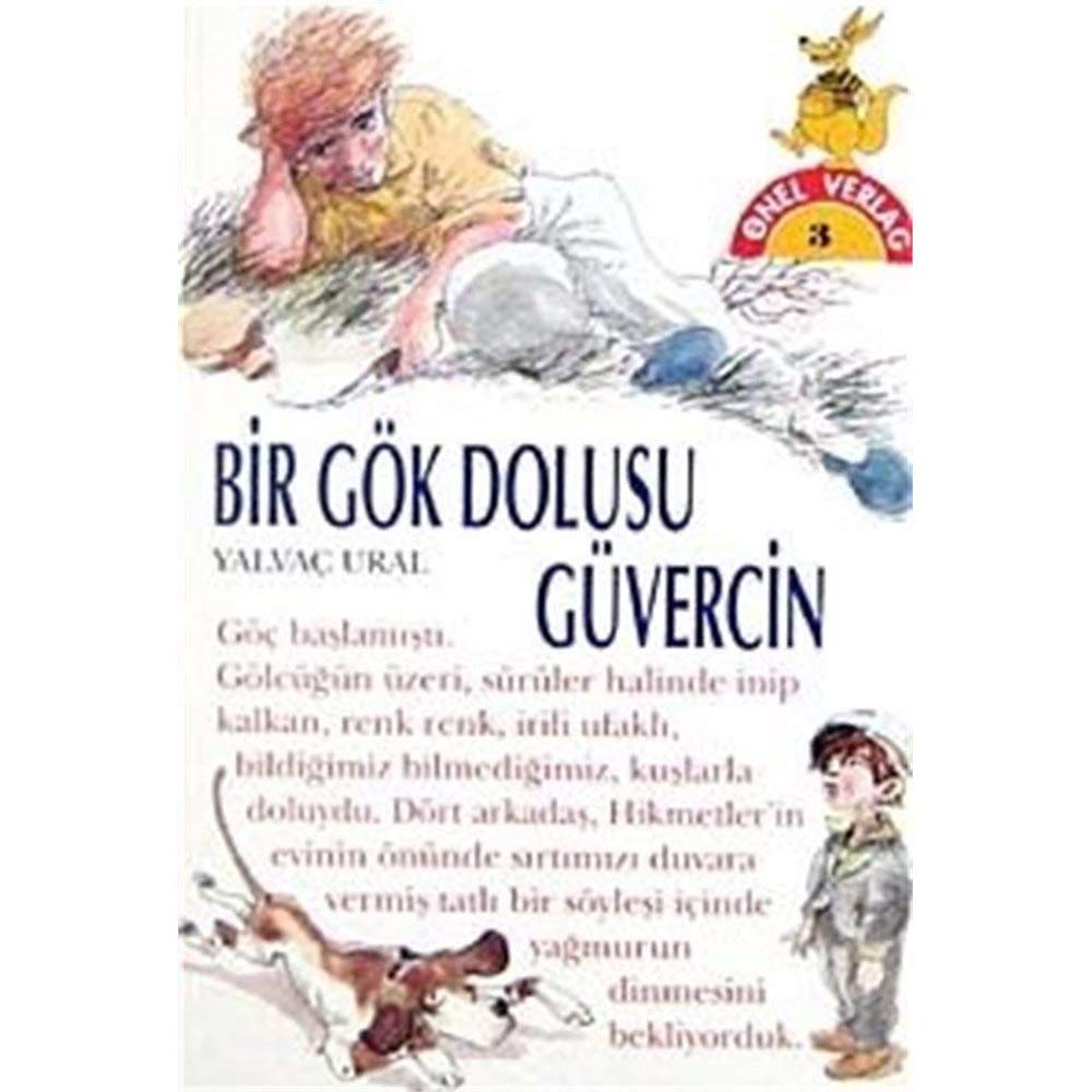 Bir Gök Dolusu Güvercin Books