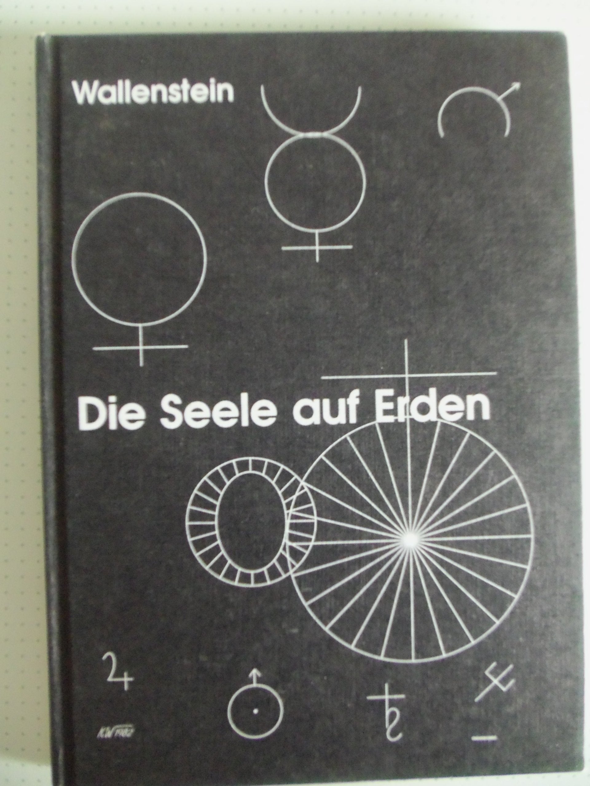 Die Seele auf Erden. Gedanken eines Technikers zu den ewigen Fragen der Menschheit Books