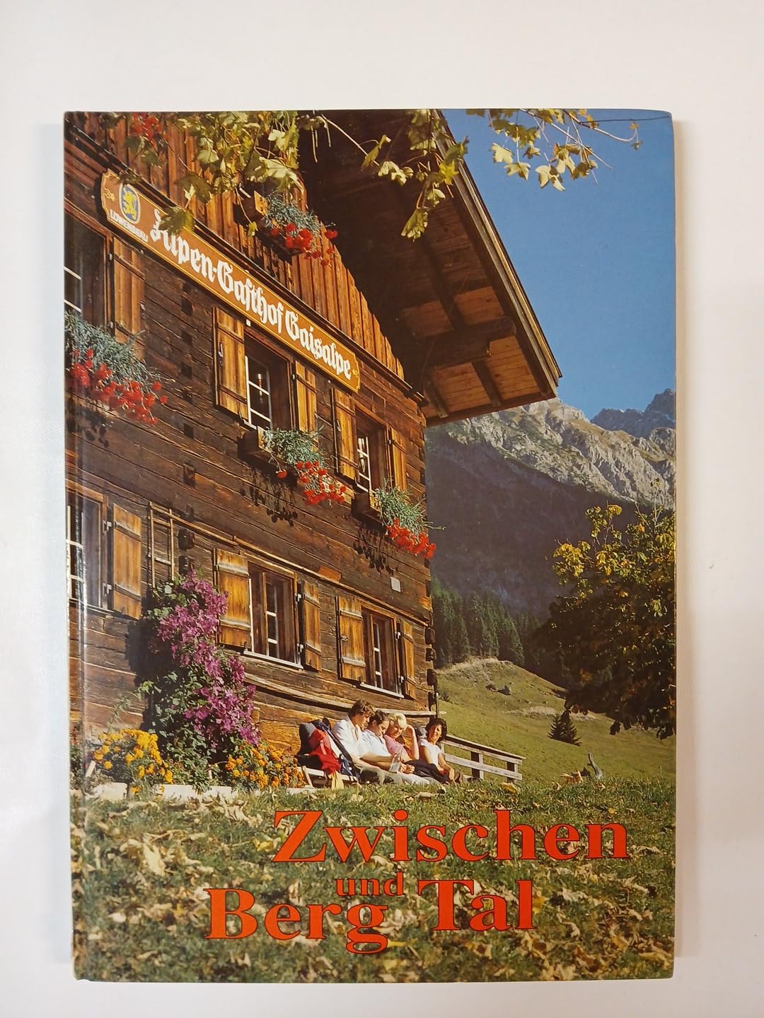 Zwischen Berg und Tal, das schöne Allgäu Travel