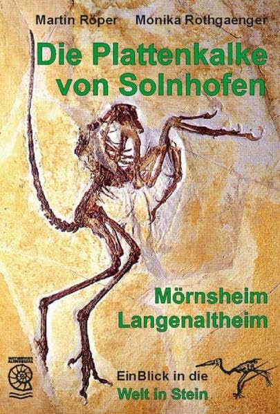 Die Plattenkalke von Solnhofen - Mörnsheim - Langenaltheim: EinBlick in die Welt in Stein (Gelbe Taschenbuch-Führer) Business & Technology