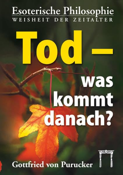 Tod - was kommt danach?: Der Tod, das Tor zu neuem Leben! Philosophy