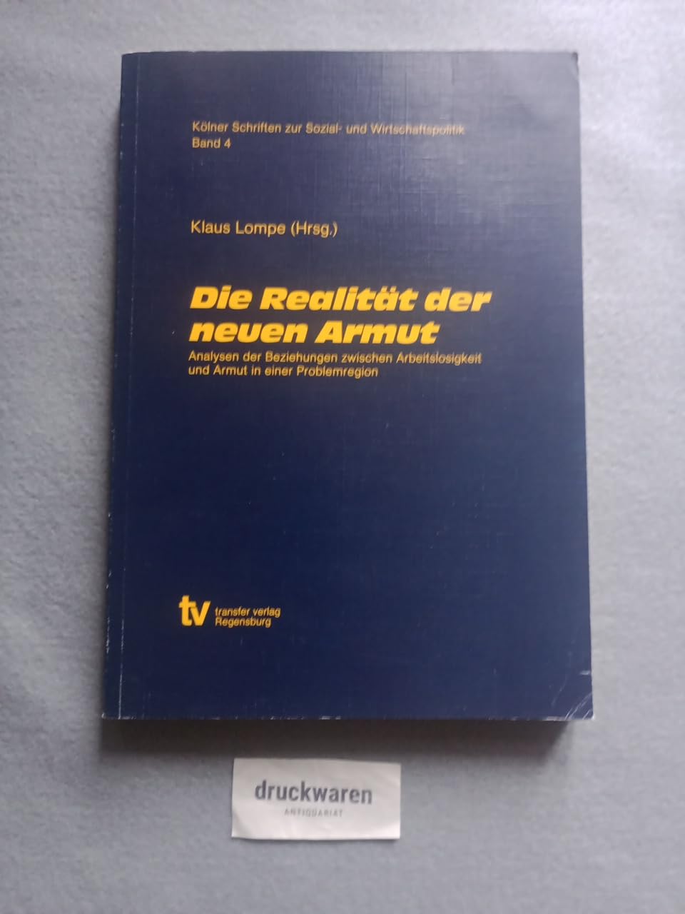 Die Realität der neuen Armut: Analysen der Beziehungen zwischen Arbeitslosigkeit und Armut in einer Problemregion Books