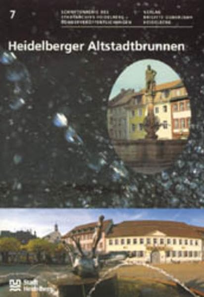 Heidelberger Altstadtbrunnen: Vorw. v. Beate Weber (Schriftenreihe des Stadtarchivs Heidelberg: Sonderveröffentlichungen) Leisure, Home & Garden