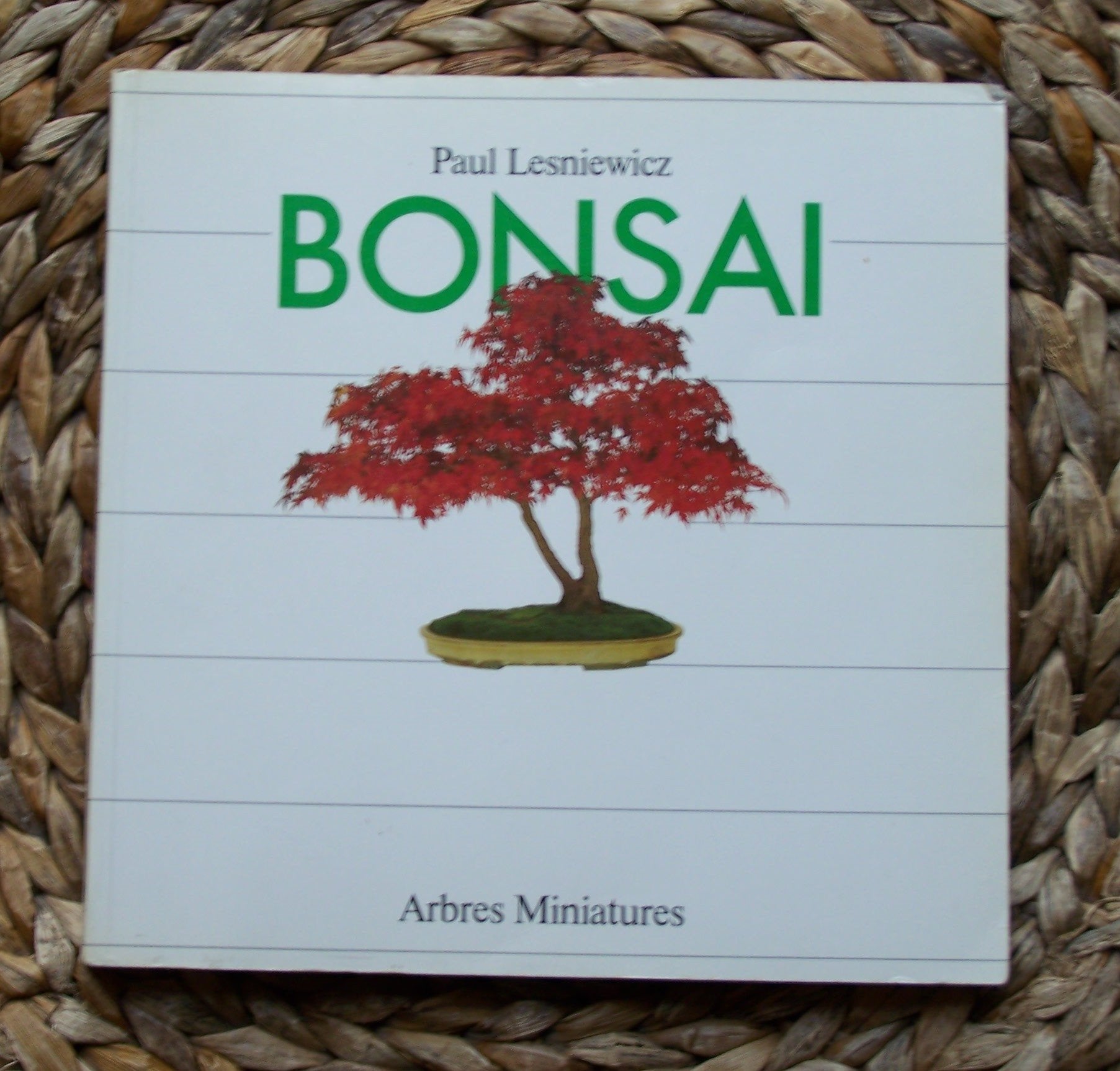 Bonsai Arbres Miniatures French Garden & Plants