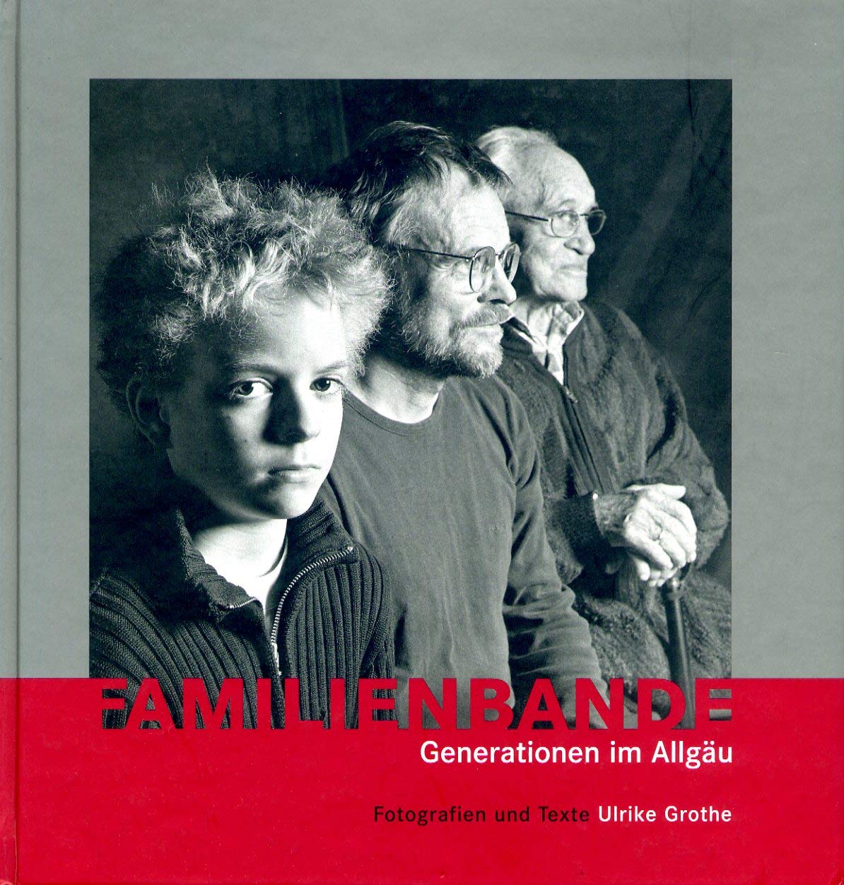 Familienbande: Generationen im Allgäu Contemporary literature