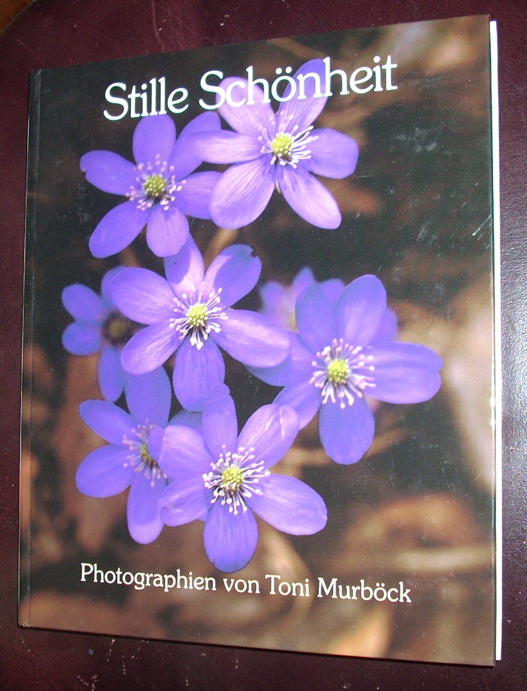 Stille Schönheit. Form und Farbe in der Natur Books