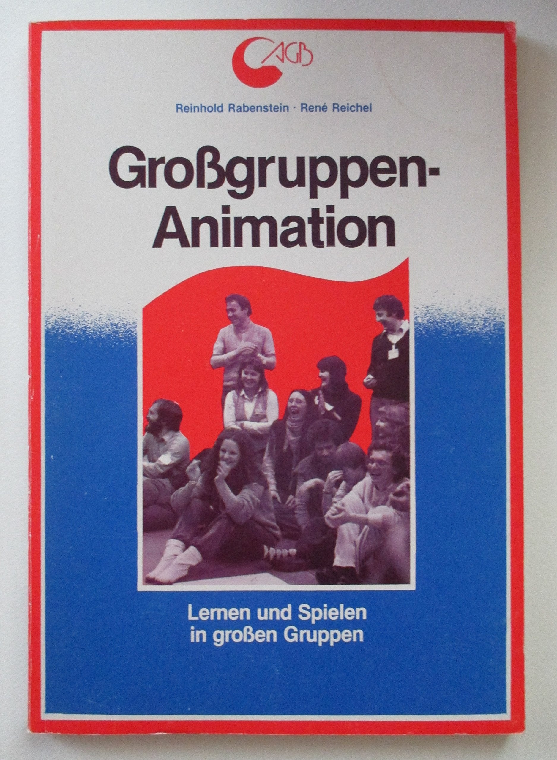 Grossgruppenanimation: Lernen und Spielen in grossen Gruppen (Praxisbücher für den pädagogischen Alltag) Learning & Reference